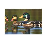 two mallard ducks Fun decorations Hanging accessories Building bricks puzzle rectangle holiday birthday gift