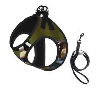 Two Mallard Ducks Print Soft Mesh Dog Harness and Leash Set Pet Puppy Cat Comfort Padded Vest No Pull Harnesses
