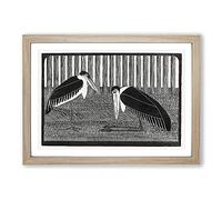 Two Maraboo Birds by Samuel De Mesquita Framed Print | A2 Oak Framed Wall Art | Ready to Hang | Modern Nature Picture | Living Room Bedroom Lounge Office