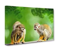 Two Monkeys Canvas Print | Gallery Wrapped 30mm Frame Wall Art | 24x16 inches | Ready to Hang | Modern Animal Picture | Living Room Bedroom Lounge Office