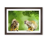 Two Monkeys Framed Print | A2 Walnut Framed Wall Art | Ready to Hang | Modern Animal Picture | Living Room Bedroom Lounge Office