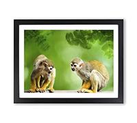 Two Monkeys Modern Framed Print | A2 Black Framed Wall Art | Ready to Hang | Modern Animal Picture | Living Room Bedroom Lounge Office