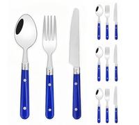 Two Nail Plastic Handle Kitchen Stainless Steel Silverware Tableware Flatware Cutlery Set Steak Knife Fork Spoon Teaspoon (Blue,12 Pieces)