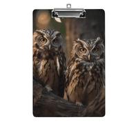 Two Owls on The Tree Clipboard 8.5×12.5 Inch Acrylic Clip Board with Metal Clip A4 Letter Size Decorative Clipboard Cute Hanging Clipboards for Office, Teacher, Nurse, Doctor,