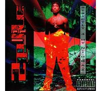 Two Pac - Strictly 4 My N.I.G.G.A.Z...