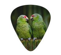 Two Parrots On Green Palm Tree 12-Pack Guitar Picks Set â€“ Unique Single-Sided Printed Picks With Abs Material For Acoustic, Electric Guitars & Ukuleles