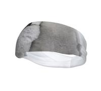 Two PenguinsHair Bands for Men Woman Headband Running Headband Sweat Wicking Gym