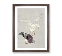 Two Pigeons By Ohara Koson Asian Japanese Framed Print | A4 Walnut Framed Wall Art | Ready to Hang | Asian Animal Picture | Living Room Bedroom Lounge Office