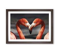 Two Pink Flamingo Birds Framed Print | A2 Walnut Framed Wall Art | Ready to Hang | Modern Animal Picture | Living Room Bedroom Lounge Office