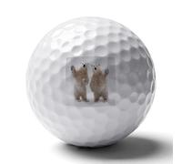 Two Polarbears Funny Novelty Golf Ball Personalised Printed Practice Balls Gifts for Men Women Golfers Father's Day