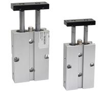 Two Rod air Cylinder Double Acting with Magnet Air Pneumatic Cylinder TN10X10S TN16X20S TN20X30S TN25X50S 60S TN32X25S TN40 TN50(TN32,60mm Stroke)