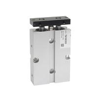Two Rod Cylinder with Magnet Air Pneumatic Cylinder TN10X10S TN16X20S TN20X30S 1Pcs(TN10,10mm Stroke)