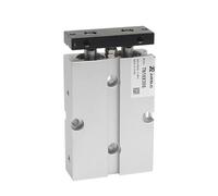 Two Rod Cylinder with Magnet Air Pneumatic Cylinder TN10X10S TN16X20S TN20X30S TN32X40S TN40X50S TN50X60S(TN10,20mm Stroke)