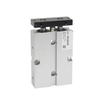 Two Rod with Magnet Air Pneumatic Cylinder TN25X30S TN32X40S TN40X50S TN50X60S 1Pcs(TN40,50mm Stroke)