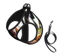 Two Royal Poodle Autumn,Pet Harness,Adjustable Reflective Dog Harness,Pet Leash Vest,L