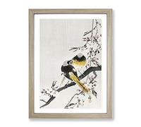 Two Sable Red Tails & Cherry Blossom By Ohara Koson Asian Japanese Framed Print | A3 Oak Framed Wall Art | Ready to Hang | Asian Floral Picture | Living Room Bedroom Lounge Office