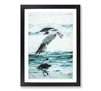 Two Seagulls On The Beach Painting Framed Print | A2 Black Framed Wall Art | Ready to Hang | Modern Animal Picture | Living Room Bedroom Lounge Office