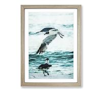 Two Seagulls On The Beach Painting Framed Print | A2 Oak Framed Wall Art | Ready to Hang | Modern Animal Picture | Living Room Bedroom Lounge Office