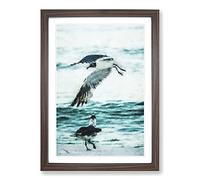 Two Seagulls On The Beach Painting Framed Print | A2 Walnut Framed Wall Art | Ready to Hang | Modern Animal Picture | Living Room Bedroom Lounge Office
