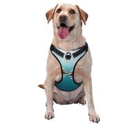 Two Sharks at The Bottom of The sea Dog Harness for Small, Medium, and Large Dogs â€“ Reflective Straps, Adjustable Fit with Quick-Release Buckles