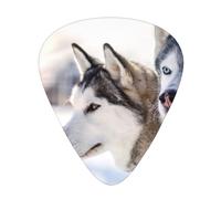 Two Siberian Husky Dogs,12 Pcs Guitar Pick,3 Different Thickness Plectrums for Acoustic Guitar Bass Ukulele (0.46mm 0.96mm 0.71mm)