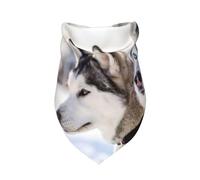 Two Siberian Husky Dogs,Bib Scarf Triangle Hood Adjustable Pet Scarf Washable Hood Suitable for Small, Medium and Large Dogs and Cats