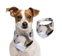 Two Siberian Husky Dogs,Dog Bandanas Cotton Pet Scarf Adjustable Bibs for Pet,S
