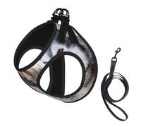 Two Siberian Husky Dogs,Pet Harness,Adjustable Reflective Dog Harness,Pet Leash Vest,L