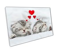 Two Sleepy Kittens Snuggled In Bed Dreaming Love Hearts Animal Photography Valentines Wall Art Print On Canvas Picture For Home Office Decor 45x30cm (18x12In)