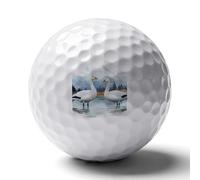Two Snow Geese Watercolor Personalized Golf Balls Gifts for Men Golfers Distance Straighter Shots