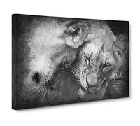 Two Snuggling Lions Canvas Print | Gallery Wrapped 30mm Frame Wall Art | 30x20 inches | Ready to Hang | Modern Animal Picture | Living Room Bedroom Lounge Office