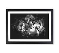 Two Snuggling Tigers Paint Splash Framed Print | A2 Black Framed Wall Art | Ready to Hang | Modern Animal Picture | Living Room Bedroom Lounge Office