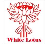 Two Sons of Heaven: Studies in Sung-Liao Relations