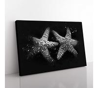 Two Starfish Paint Splash Modern Art Canvas Wall Art Print Ready to Hang, Framed Picture for Living Room Bedroom Home Office Décor, 50x35 cm (20x14 Inch)