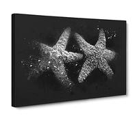Two Starfish Paint Splash Modern Art Canvas Wall Art Print Ready to Hang, Framed Picture for Living Room Bedroom Home Office Décor, 20x14 Inch (50x35 cm)