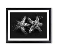 Two Starfish Paint Splash Modern Art Framed Wall Art Print, Ready to Hang Picture for Living Room Bedroom Home Office Décor, Black A4 (34 x 25 cm)