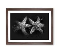 Two Starfish Paint Splash Modern Art Framed Wall Art Print, Ready to Hang Picture for Living Room Bedroom Home Office Décor, Walnut A3 (46 x 34 cm)