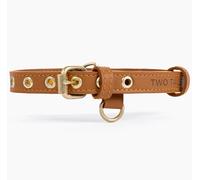 Two Tails Pet Company Cactus Leather Dog Collar - Eco-Friendly, Stylish, Easy-to-Clean Pet Collar with Gold Hardware, D-Rings for Leash & ID Tag (Small, Caramel)