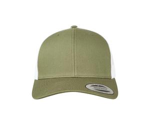 Two-tone cap Flexfit Retro Marron TU