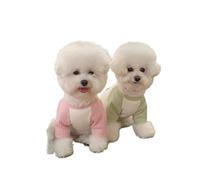 Two-Tone Dog Pullover, Autumn Warm Two-Legged Vest for Teddy & Bichon Frise, Embroidered Pet Bottoming Shirt(Green,L)