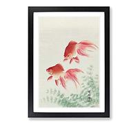 Two Veil Goldfish by Ohara Koson Framed Print | A2 Black Framed Wall Art | Ready to Hang | Modern Nature Picture | Living Room Bedroom Lounge Office