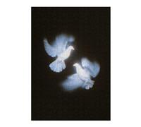 Two White Doves in Flight Detailed Jigsaw Puzzle for Adults, 300 PCS