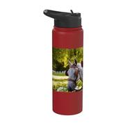 Two White Horses at a Carriage Against a Green Park Stainless Steel Insulated Water Bottle
