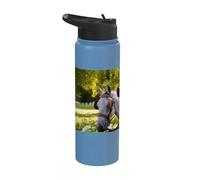 Two White Horses at a Carriage Against a Green Park Stainless Steel Insulated Water Bottle