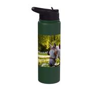 Two White Horses at a Carriage Against a Green Park Stainless Steel Insulated Water Bottle