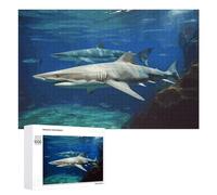 Two White Sharks Puzzles for Adults Wooden Jigsaw Puzzle with Storage Box Personalized Exquisite Wooden Puzzle for Home Wall Decorative Puzzles&Relaxing Gifts 1000 PCS Pieces