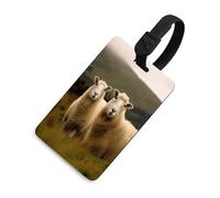 Two White Sheep Luggage Tags for Suitcases Cute Suitcase Tag Privacy Cover ID Identifier Unique Name Tags for Travel Baggage Essentials Fashion Tag, Black-style, One Size