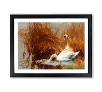 Two White Swans By Bruno Liljefors Classic Painting Framed Wall Art Print, Ready to Hang Picture for Living Room Bedroom Home Office Décor, Black A3 (46 x 34 cm)