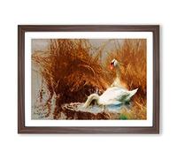 Two White Swans By Bruno Liljefors Classic Painting Framed Wall Art Print, Ready to Hang Picture for Living Room Bedroom Home Office Décor, Walnut A3 (46 x 34 cm)