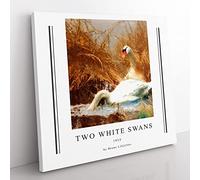 Two White Swans By Bruno Liljefors Exhibition Museum Classic Painting Canvas Wall Art Print Ready to Hang, Framed Picture for Living Room Bedroom Home Office Décor, 50x50 cm (20x20 Inch)